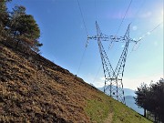 MONTE ZUCCO ad anello via linea tagliafuoco dalla Pernice (20apr21) - FOTOGALLERY